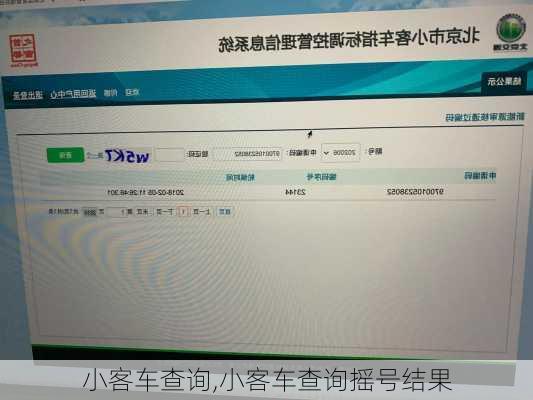 小客车查询,小客车查询摇号结果
