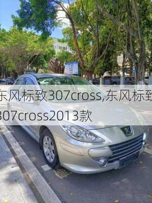 东风标致307cross,东风标致307cross2013款