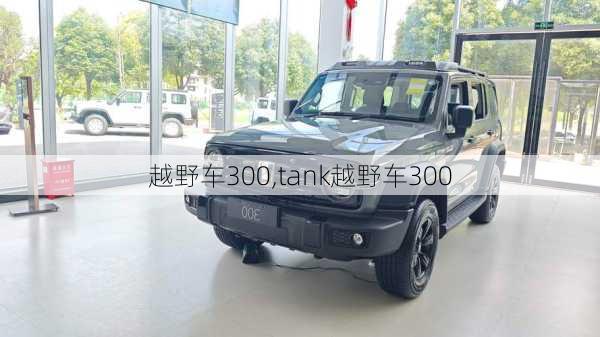 越野车300,tank越野车300