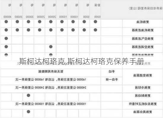 斯柯达柯珞克,斯柯达柯珞克保养手册