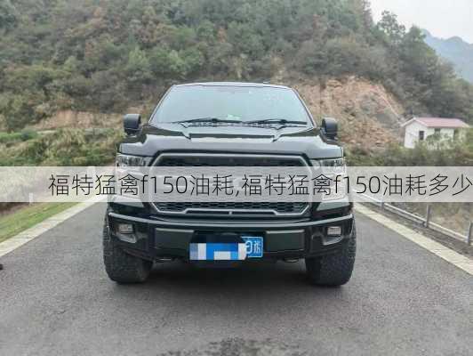 福特猛禽f150油耗,福特猛禽f150油耗多少