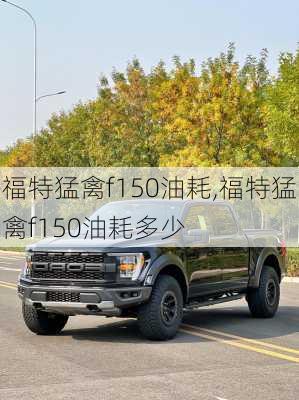 福特猛禽f150油耗,福特猛禽f150油耗多少