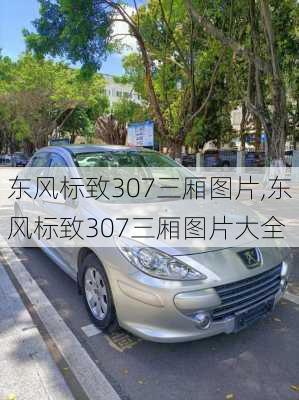 东风标致307三厢图片,东风标致307三厢图片大全