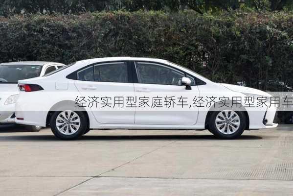 经济实用型家庭轿车,经济实用型家用车