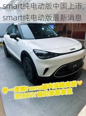 smart纯电动版中国上市,smart纯电动版最新消息