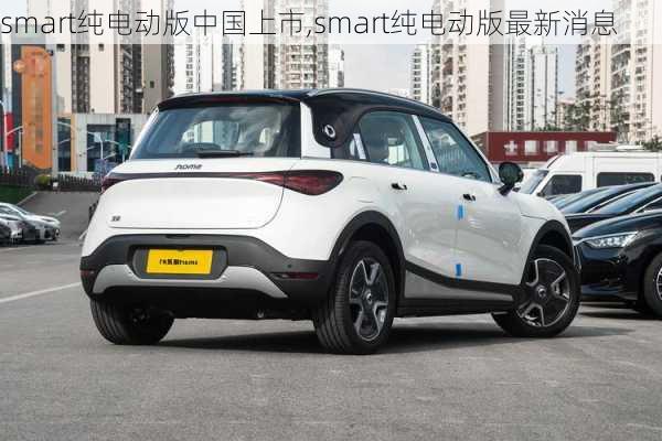 smart纯电动版中国上市,smart纯电动版最新消息