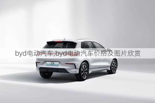 byd电动汽车,byd电动汽车价格及图片欣赏