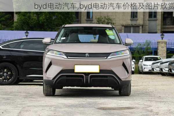 byd电动汽车,byd电动汽车价格及图片欣赏