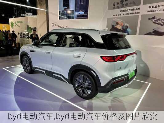 byd电动汽车,byd电动汽车价格及图片欣赏