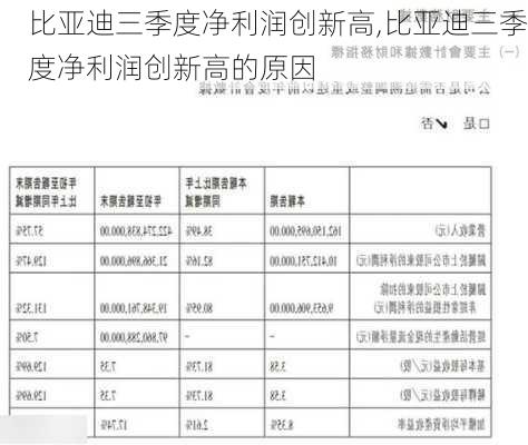 比亚迪三季度净利润创新高,比亚迪三季度净利润创新高的原因