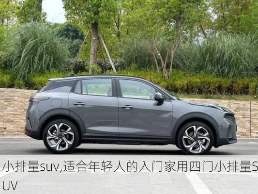 小排量suv,适合年轻人的入门家用四门小排量SUV