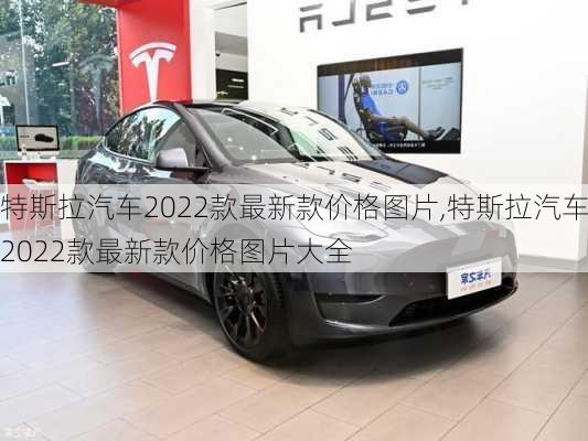 特斯拉汽车2022款最新款价格图片,特斯拉汽车2022款最新款价格图片大全