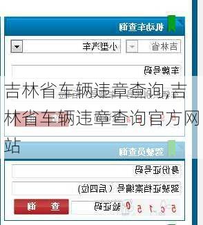 吉林省车辆违章查询,吉林省车辆违章查询官方网站