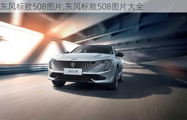 东风标致508图片,东风标致508图片大全