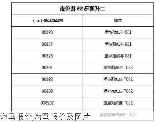 海马报价,海马报价及图片