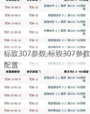 标致307参数,标致307参数配置