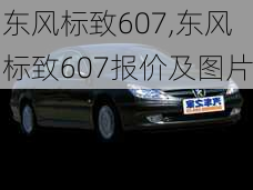 东风标致607,东风标致607报价及图片