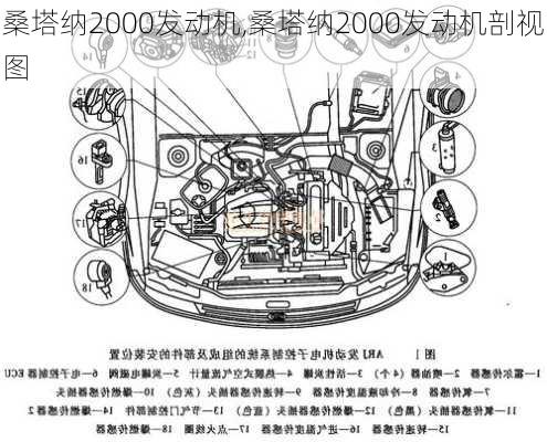 桑塔纳2000发动机,桑塔纳2000发动机剖视图