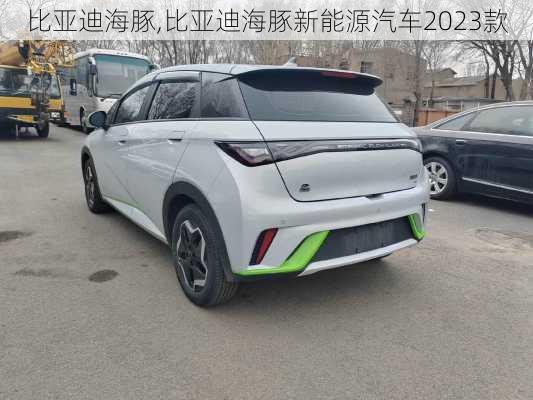 比亚迪海豚,比亚迪海豚新能源汽车2023款