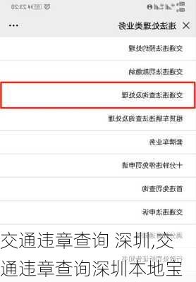交通违章查询 深圳,交通违章查询深圳本地宝