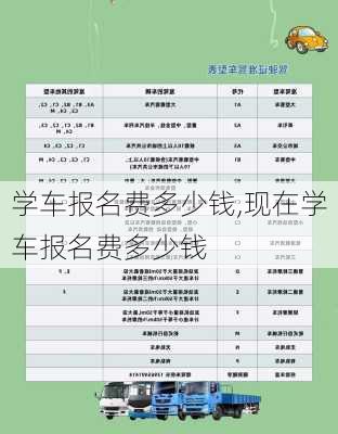 学车报名费多少钱,现在学车报名费多少钱