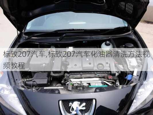 标致207汽车,标致207汽车化油器清洗方法视频教程