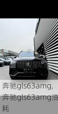 奔驰gls63amg,奔驰gls63amg油耗