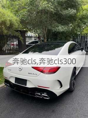 奔驰cls,奔驰cls300