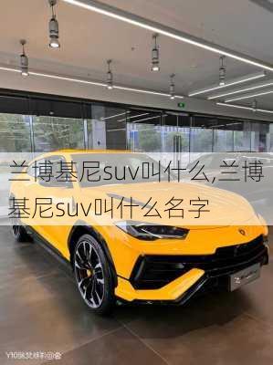 兰博基尼suv叫什么,兰博基尼suv叫什么名字