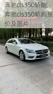 奔驰cls350轿跑,奔驰cls350轿跑报价及图片