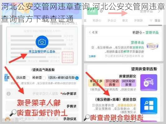 河北公安交管网违章查询,河北公安交管网违章查询官方下载查证通