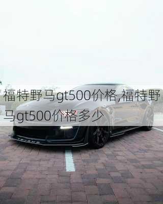 福特野马gt500价格,福特野马gt500价格多少