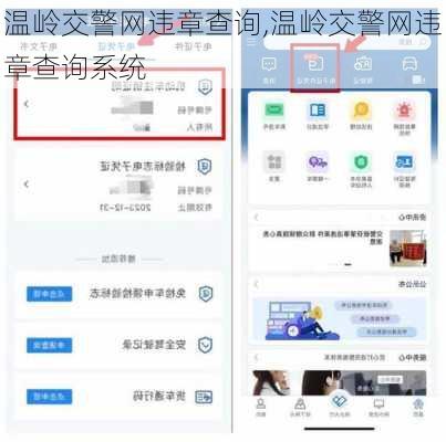 温岭交警网违章查询,温岭交警网违章查询系统