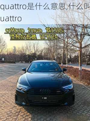 quattro是什么意思,什么叫quattro