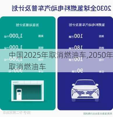 中国2025年取消燃油车,2050年取消燃油车