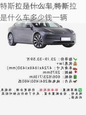 特斯拉是什么车,特斯拉是什么车多少钱一辆