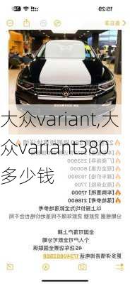 大众variant,大众variant380多少钱