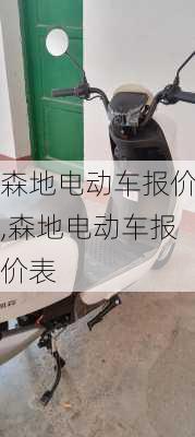 森地电动车报价,森地电动车报价表