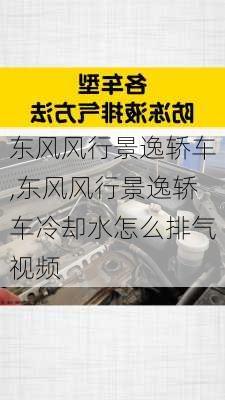 东风风行景逸轿车,东风风行景逸轿车冷却水怎么排气视频