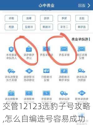 交管12123选豹子号攻略,怎么自编选号容易成功