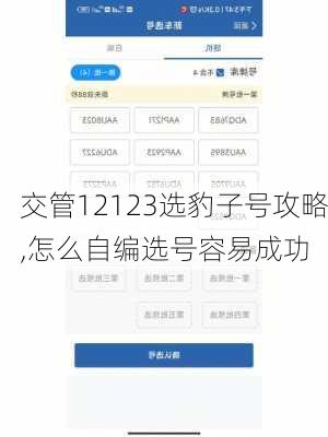 交管12123选豹子号攻略,怎么自编选号容易成功