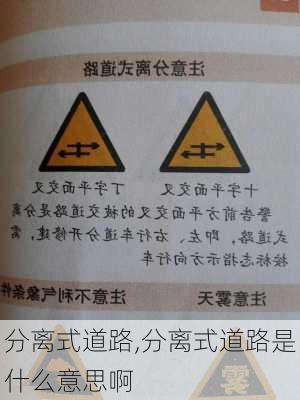 分离式道路,分离式道路是什么意思啊