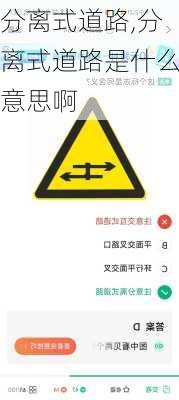 分离式道路,分离式道路是什么意思啊